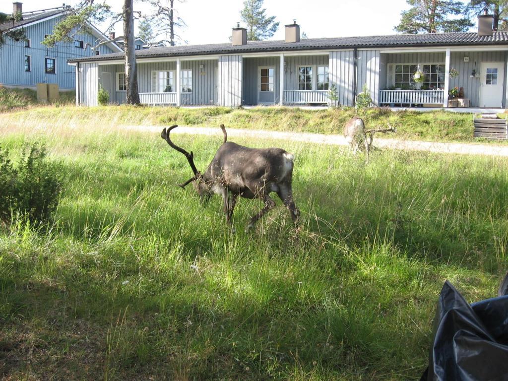 Aslak Apartment Saariselka Bagian luar foto